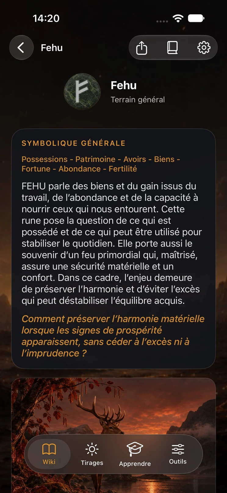 Les runes, signe par signe